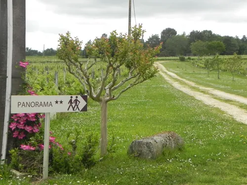 Domaine du Haut Pécharmant