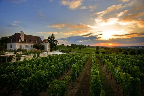 Château Thénac