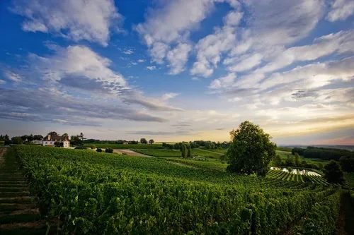Château Thénac