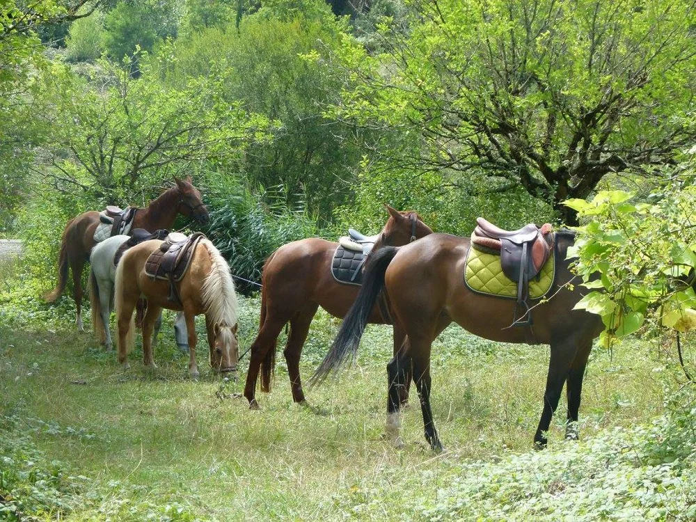 Étrier Périgourdin