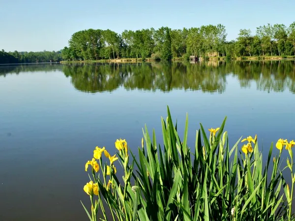 Lac de la Prade