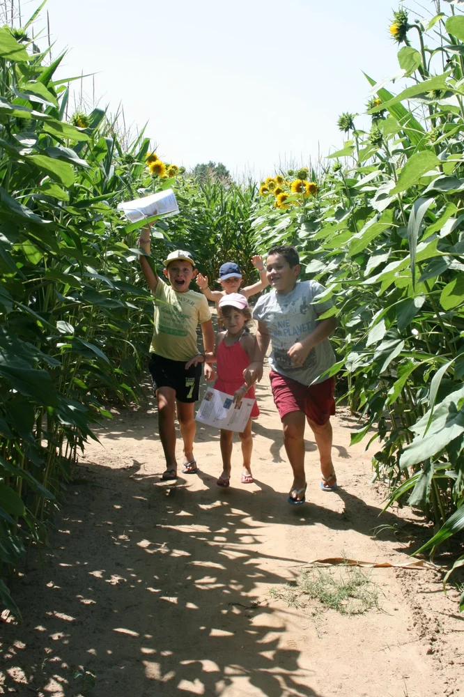 Labyrinthe de Maïs des Châteaux