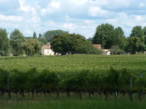 Château L'Insoumise