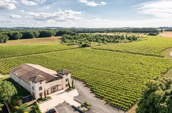 Vignoble des Verdots