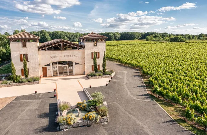 Vignoble des Verdots