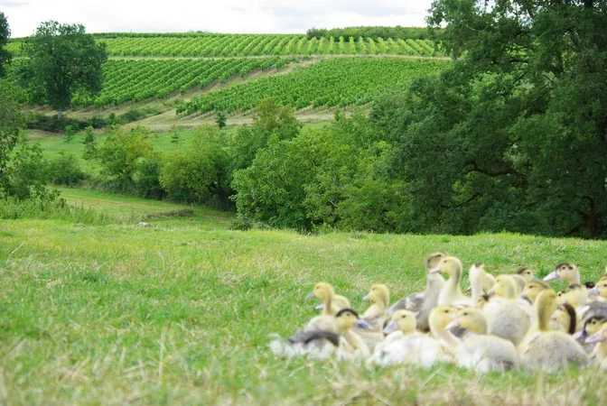 La Ferme de Gagnet