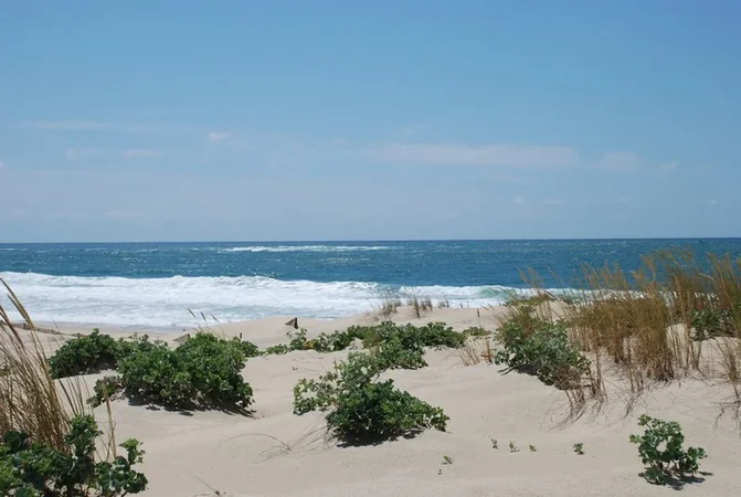Plage La Salie Nord