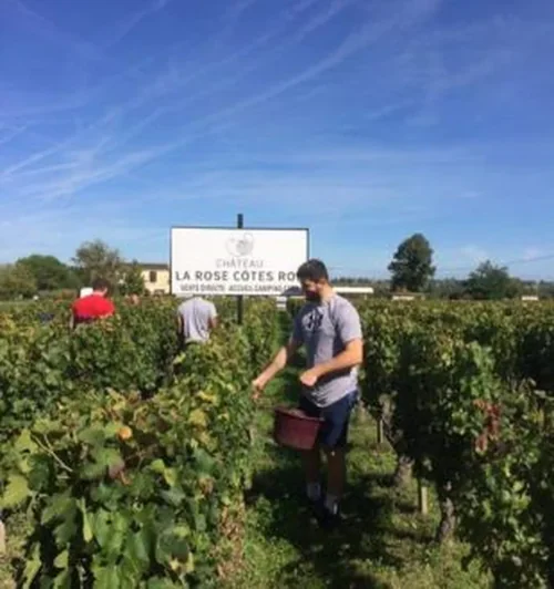 Château La Rose Côtes Rol