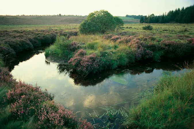 Le Parc naturel régional de Millevaches et ses 14 sites labellisés Natura 2000