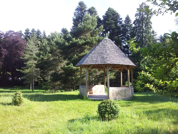 Arboretum du château de Neuvic d'Ussel