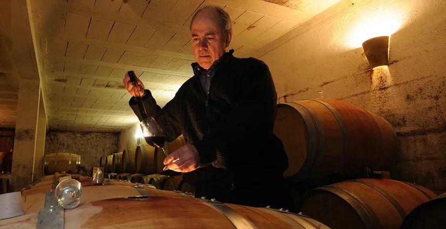 Vignoble Boudon