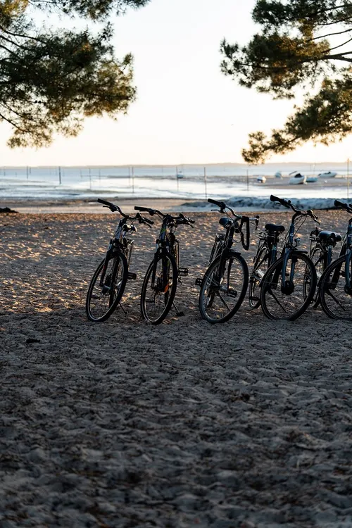 Cycles Delort