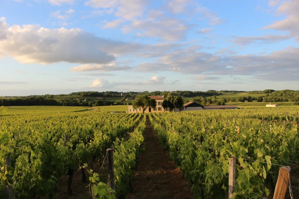 Château Grangey