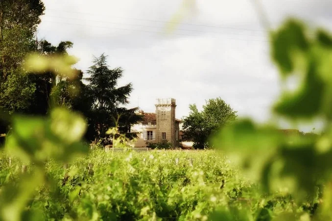 Château Tour Bicheau