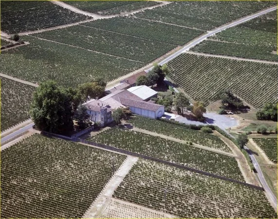 Château Tour Bicheau
