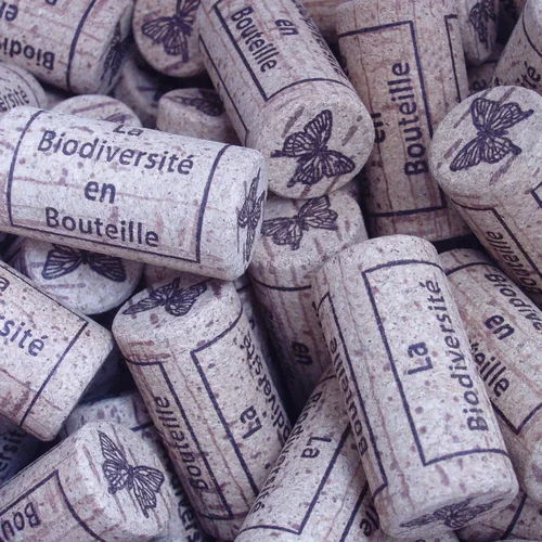 Château L'Inclassable