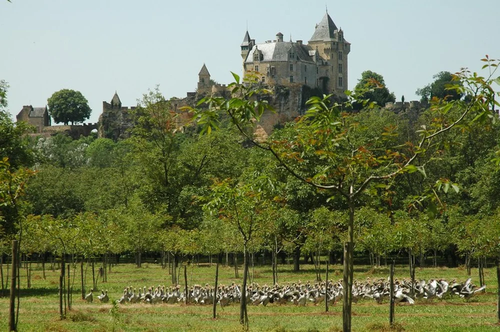 La Ferme de Turnac