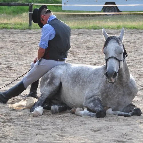 Equi Logos