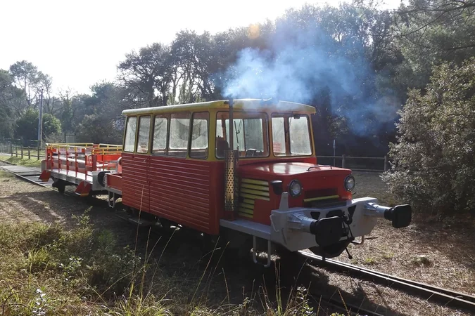 Le petit train touristique (P.G.V.S.)