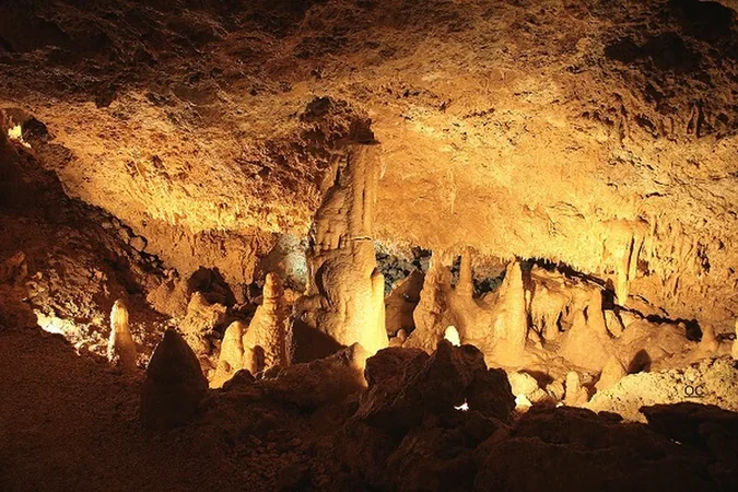 Grotte de Lastournelle