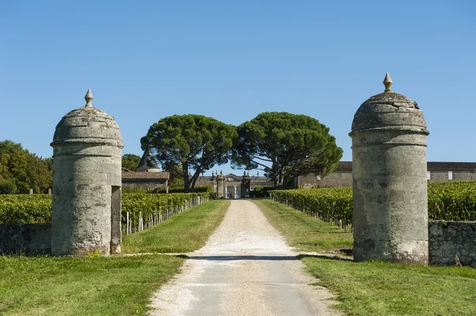 Château Saint-Georges
