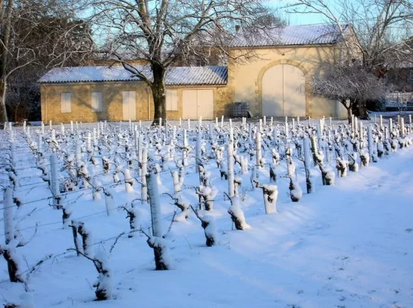 Château d'Osmond