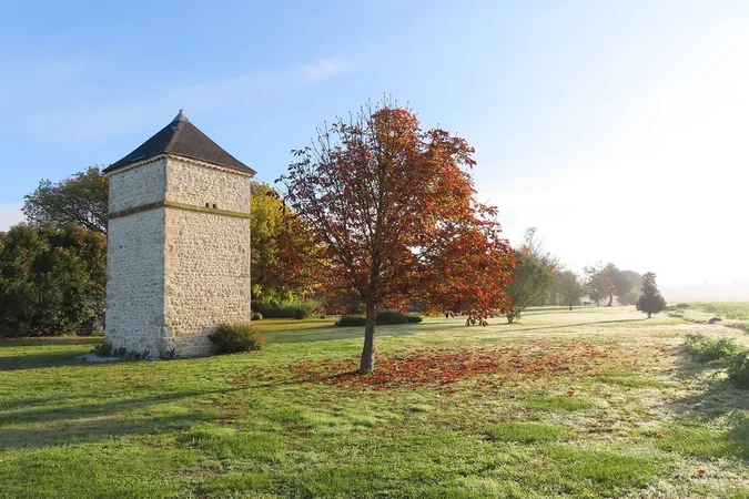 Château Pierre de Montignac