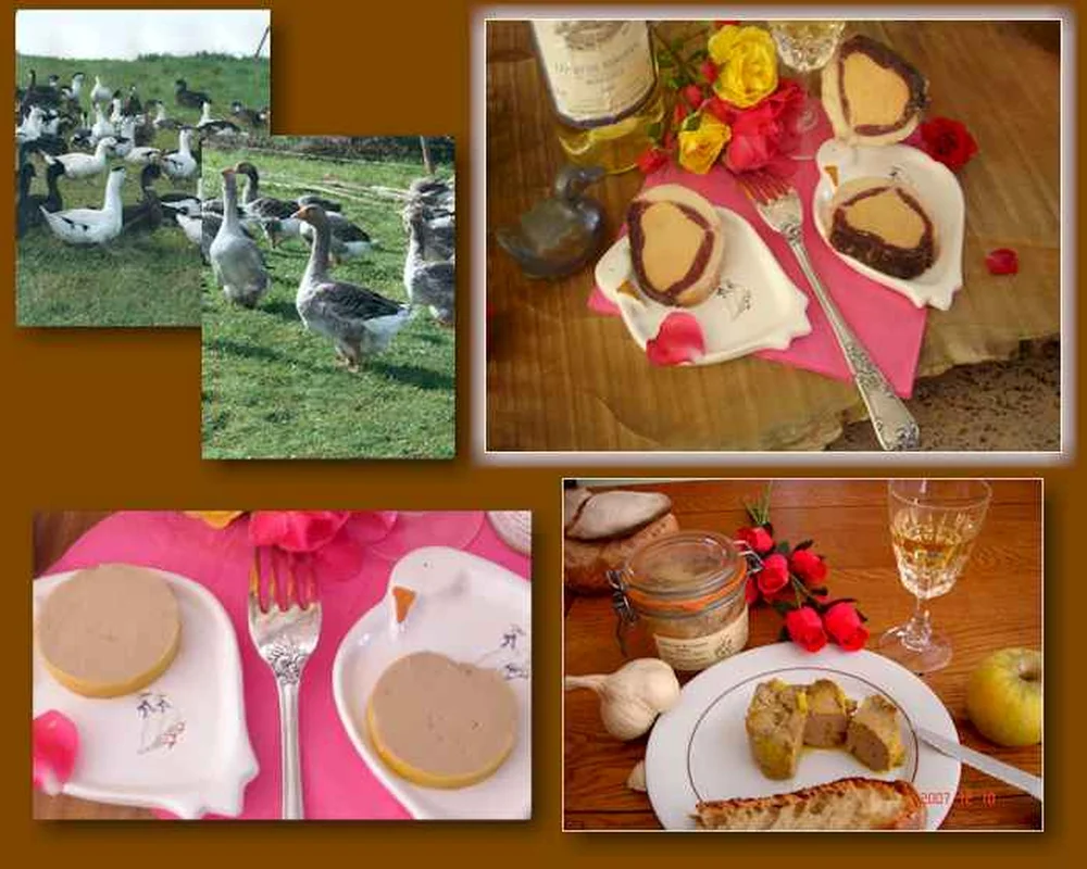 Ferme aux canards du Bois Bareirou - P.Catinel
