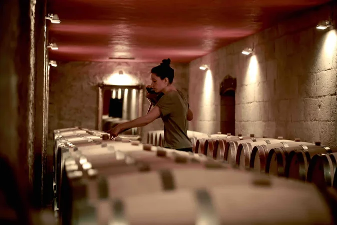 Château Pindefleurs