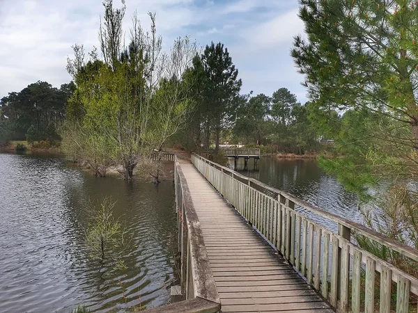 Le bois des sources du Peugue
