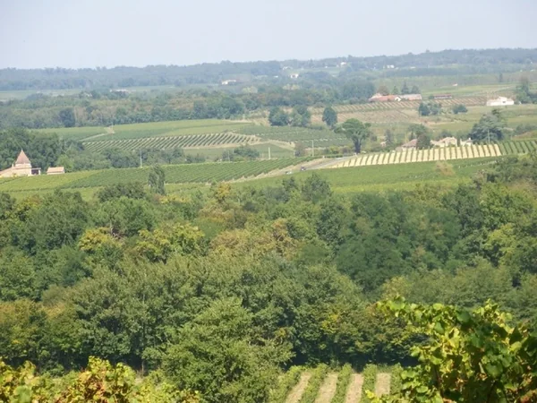 Château Haut Domingue