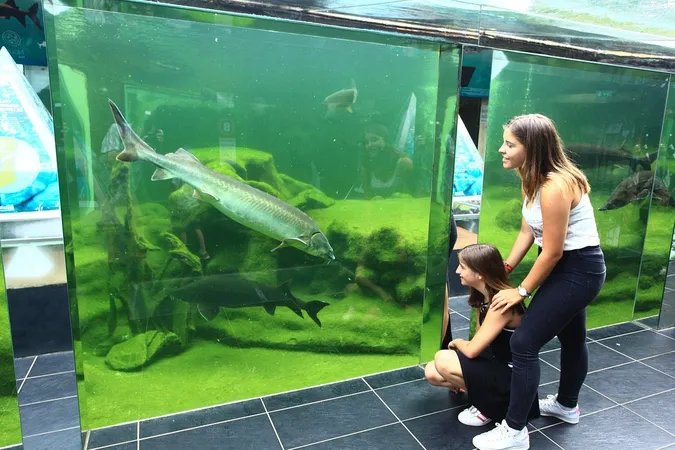 Aquarium du Périgord Noir - Univerland Le Bugue