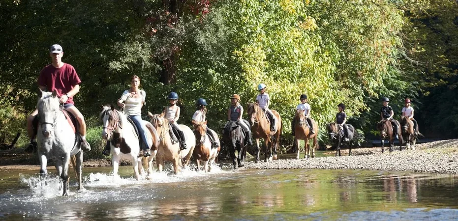 Les Cavaliers de la Vezere