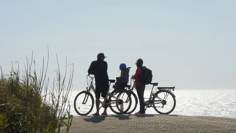 Moutchic Loisirs - Locations de vélos - Plage du Moutchic lac de Lacanau