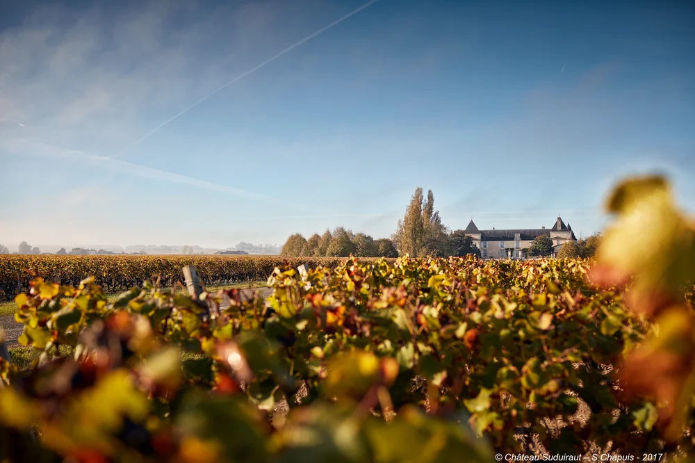 Château Suduiraut