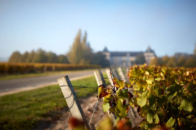Château Suduiraut