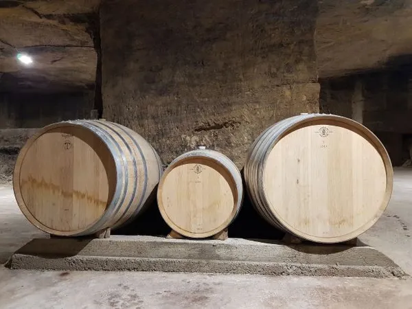 Château Fleur de Roques