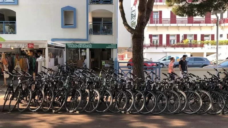 Les vélos d'Albret - Le Moulleau