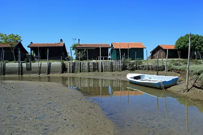 L'Ile aux Oiseaux