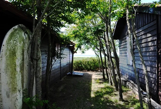 L'Ile aux Oiseaux