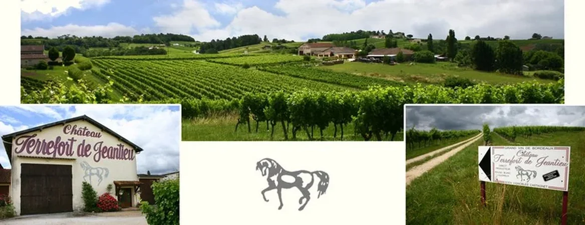 Château Terrefort de Jeantieu