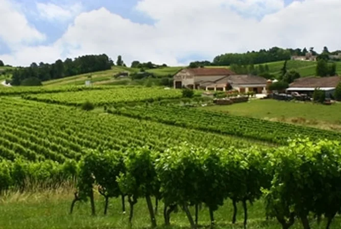 Château Terrefort de Jeantieu