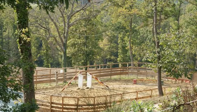 Haras du Sudre