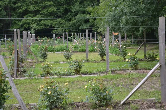 Parc Eden et Sens