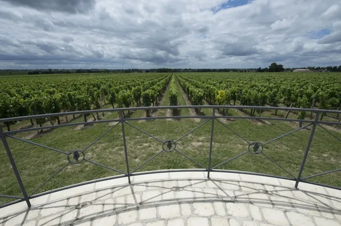 Château Haut Chaigneau