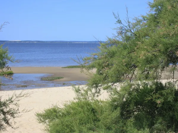 Plage Suzette