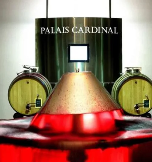 Château Palais Cardinal