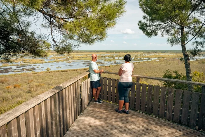 Réserve naturelle nationale de l'étang de Cousseau