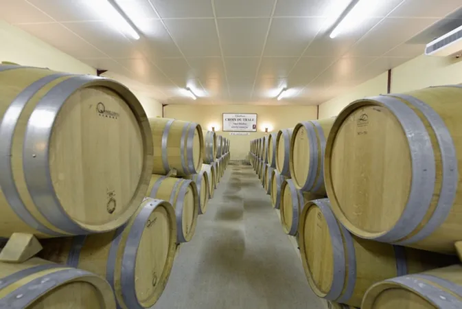 Château Croix du Trale