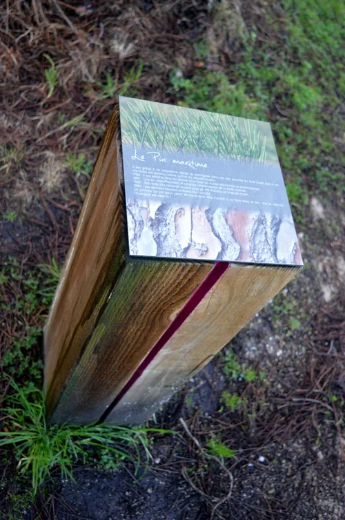 Balade à roulettes : Forêt de Migelane - La balade géologique